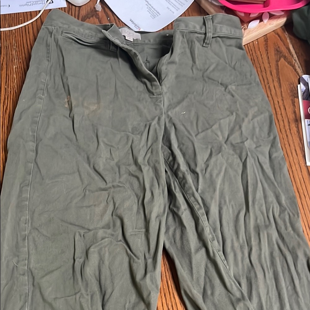 LOFT Green Capris Versatile Cotton Blend